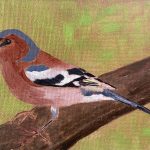 Chaffinch