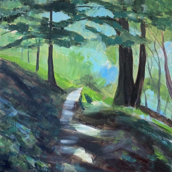 shadows on the woodland path