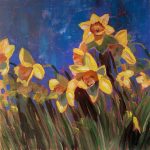 daffodils